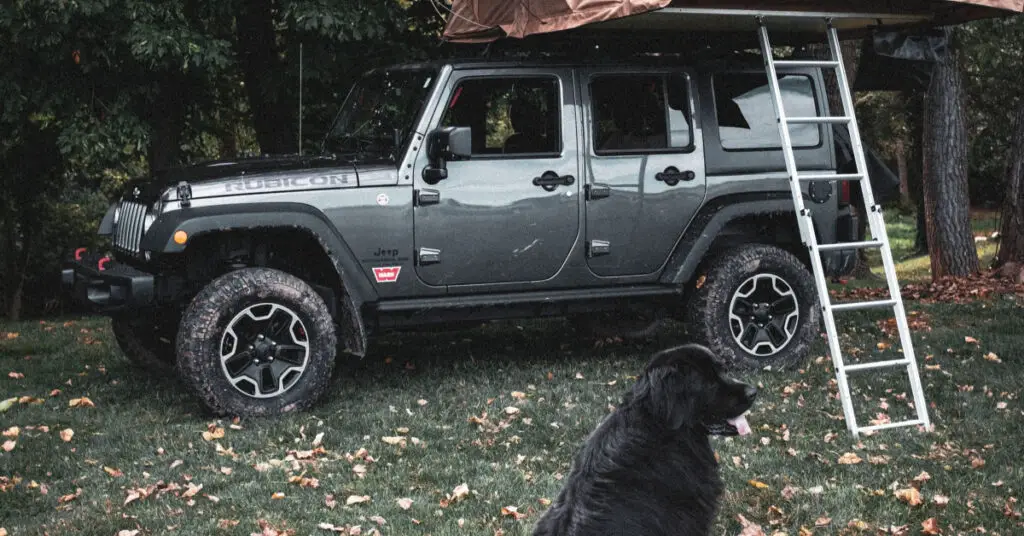 How To Get A Dog Into A Roof Top Tent